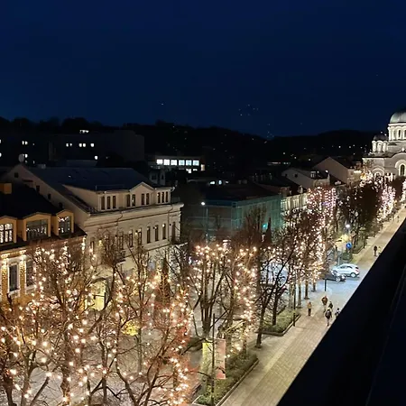 Laisves Alejos Lejlighed *