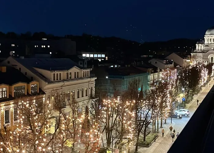 Laisves Alejos Lejlighed *